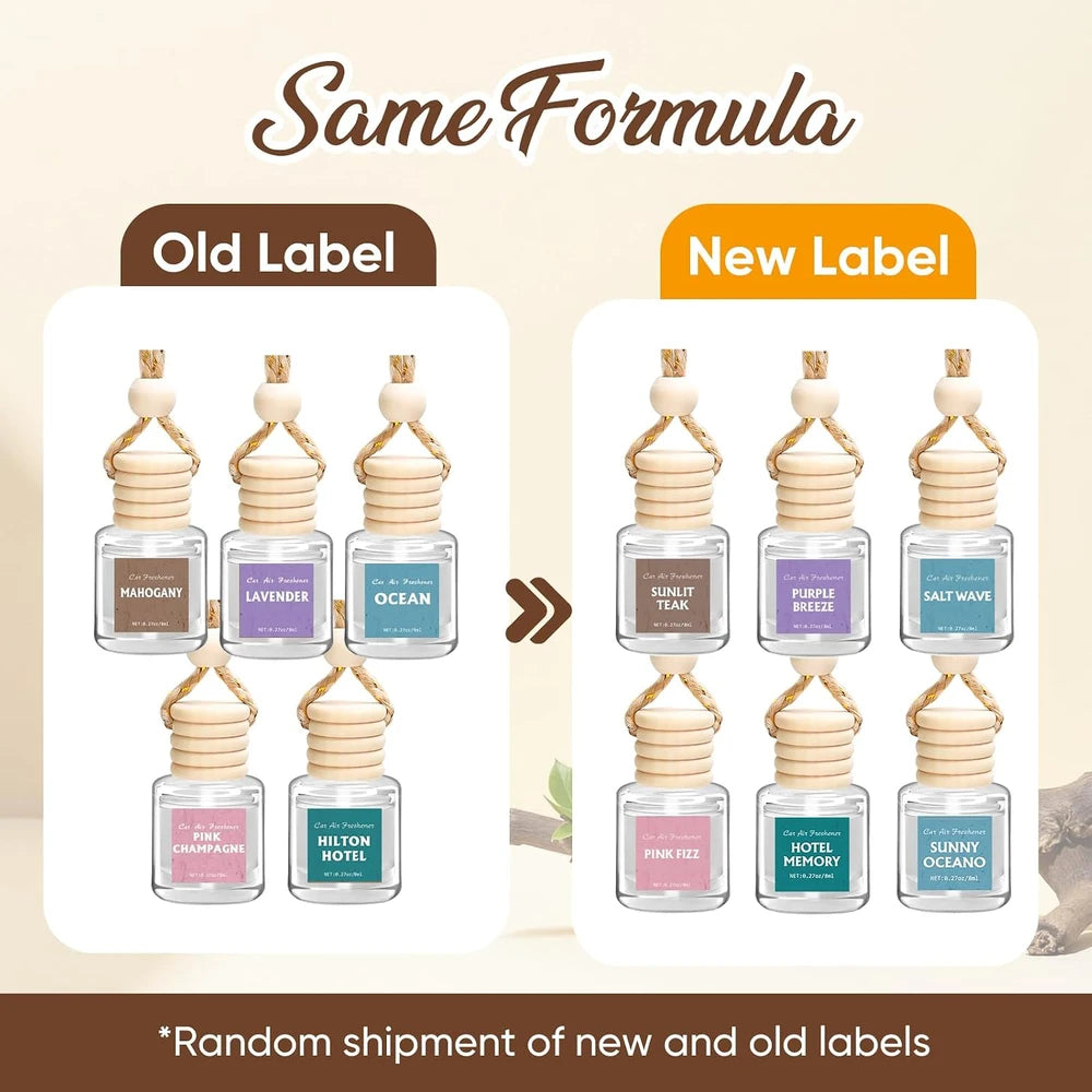 Hanging Essential Oil Car Air Freshener